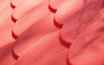 Moor Edge plastic roof costs